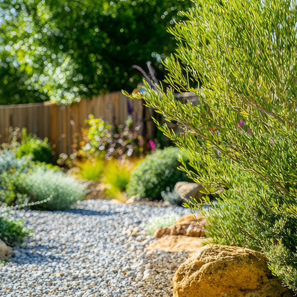 Felix Schmid Gartengestaltung